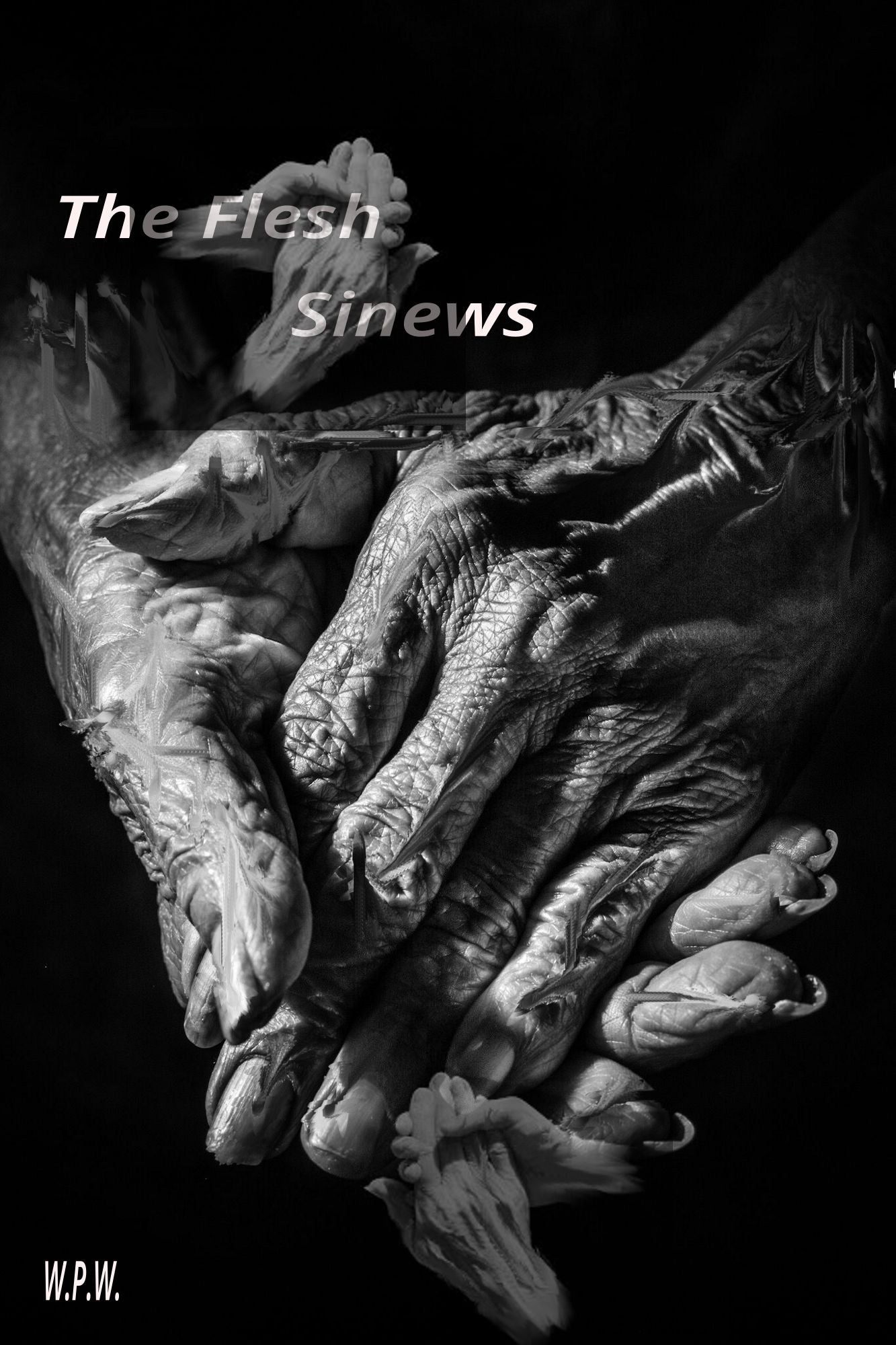 The Flesh - Sinews